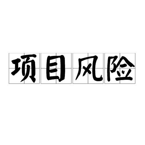 项目风险 项目风险