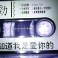 你知道我是爱你的 你知道我是爱你的
