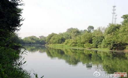 广德桐汭湿地公园 广德桐汭湿地公园
