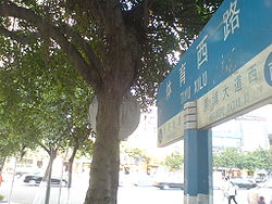 体育西路 体育西路