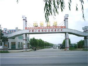 松林店镇 松林店镇