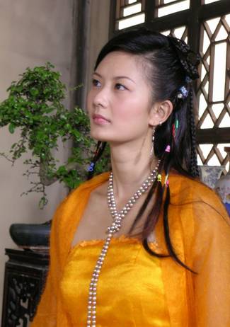乘龙怪婿