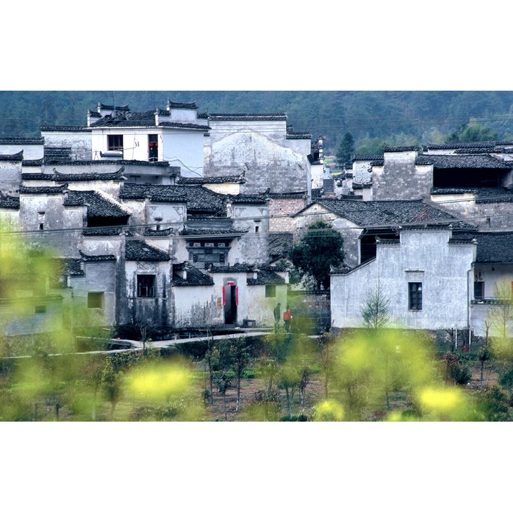 西递镇 西递镇