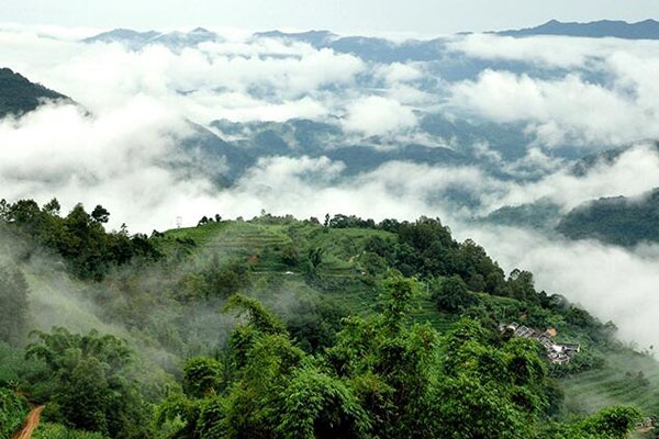 哀牢山风景区 哀牢山风景区