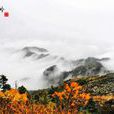 秦岭云横 秦岭云横