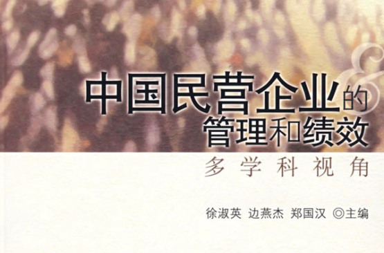 中国民营企业的管理和绩效 中国民营企业的管理和绩效