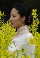 风过菜花黄