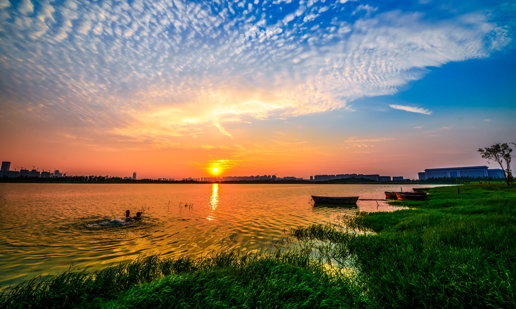 滨湖 滨湖