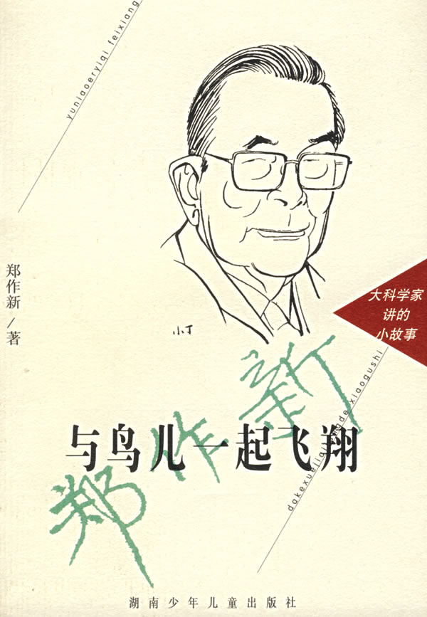 与鸟儿一起飞翔 与鸟儿一起飞翔