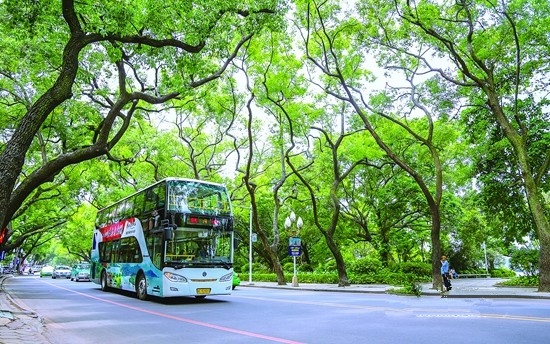 桥西街道 桥西街道