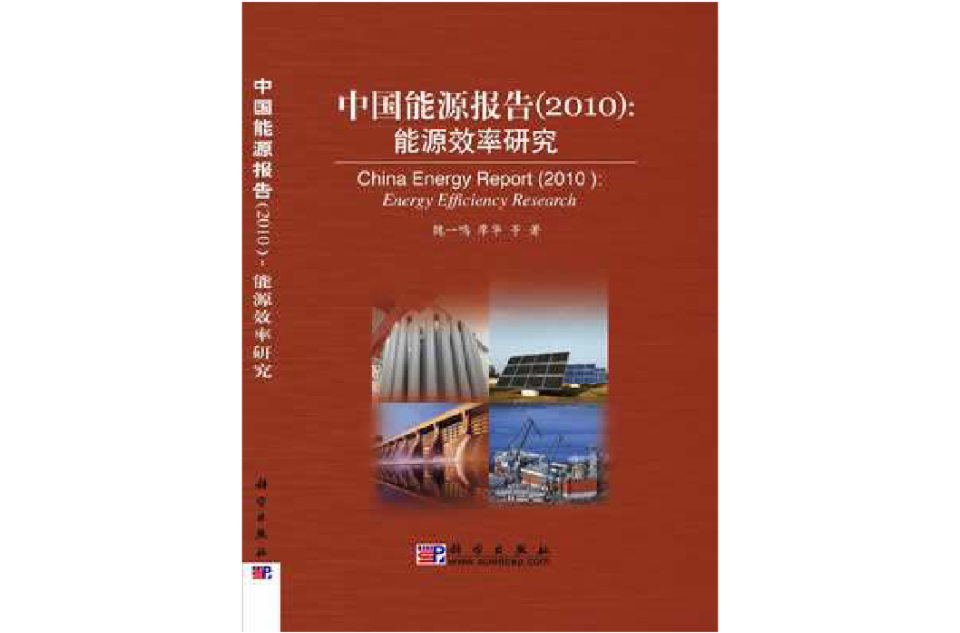 中国能源报告 中国能源报告