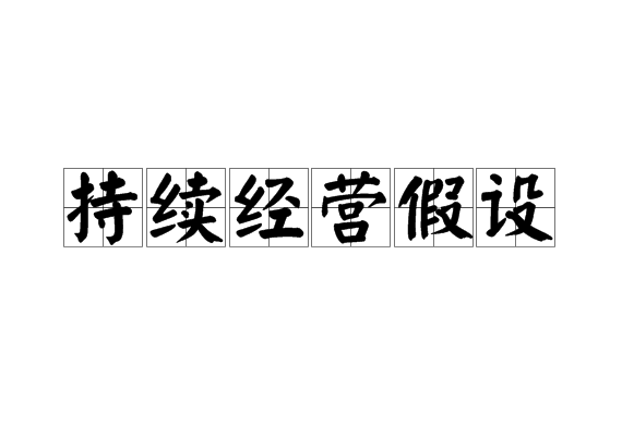 持续经营假设 持续经营假设