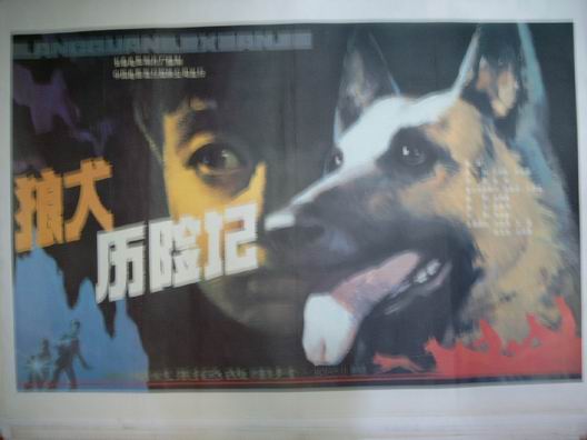 狼犬历险记 狼犬历险记