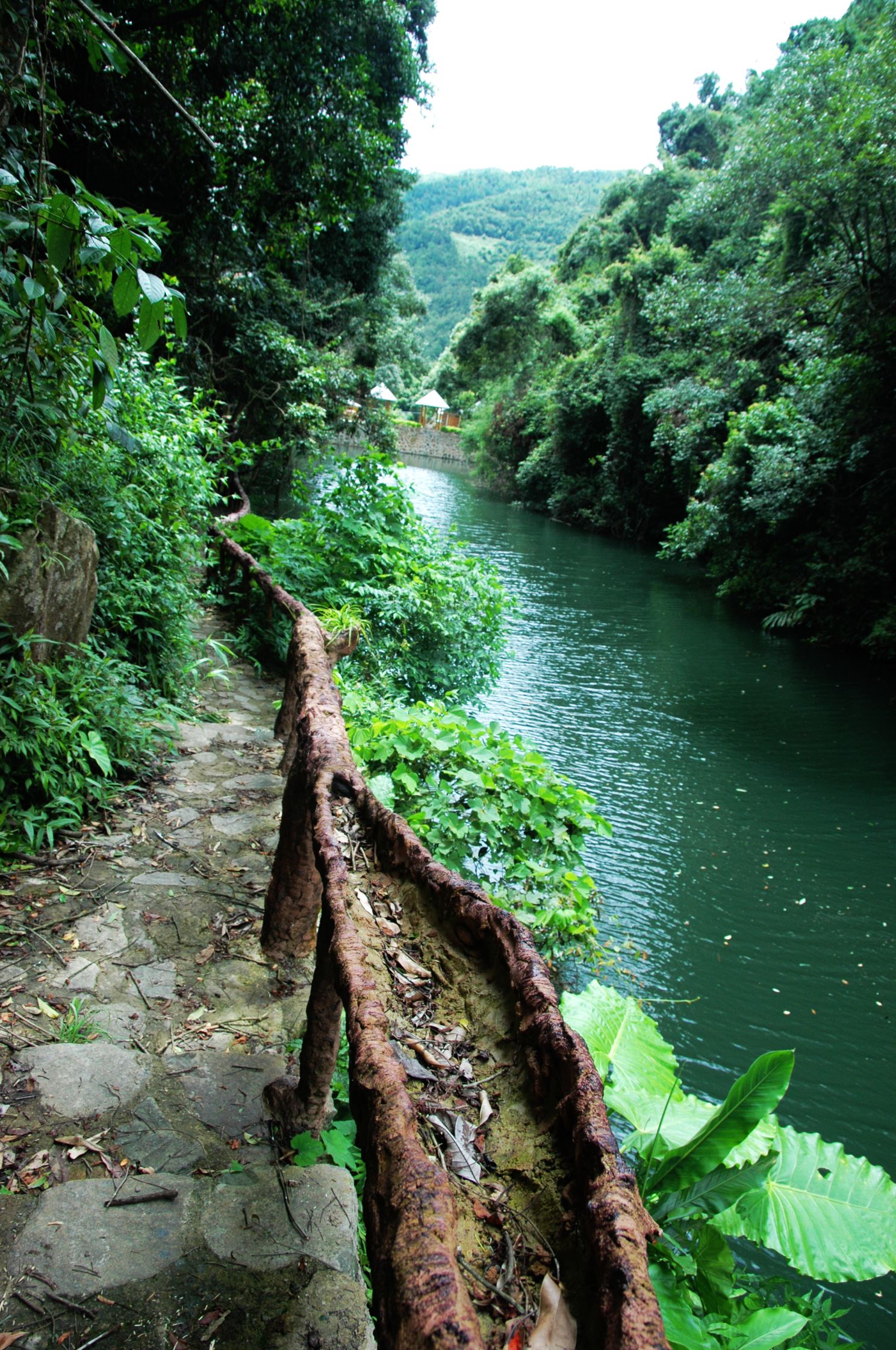 志闽旅游 志闽旅游