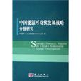 中国能源可持续发展战略专题研究 中国能源可持续发展战略专题研究