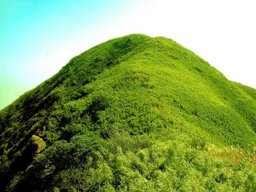 神农峰 神农峰