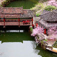 桃花源景区(重庆酉阳桃花源景区) 桃花源景区(重庆酉阳桃花源景区)