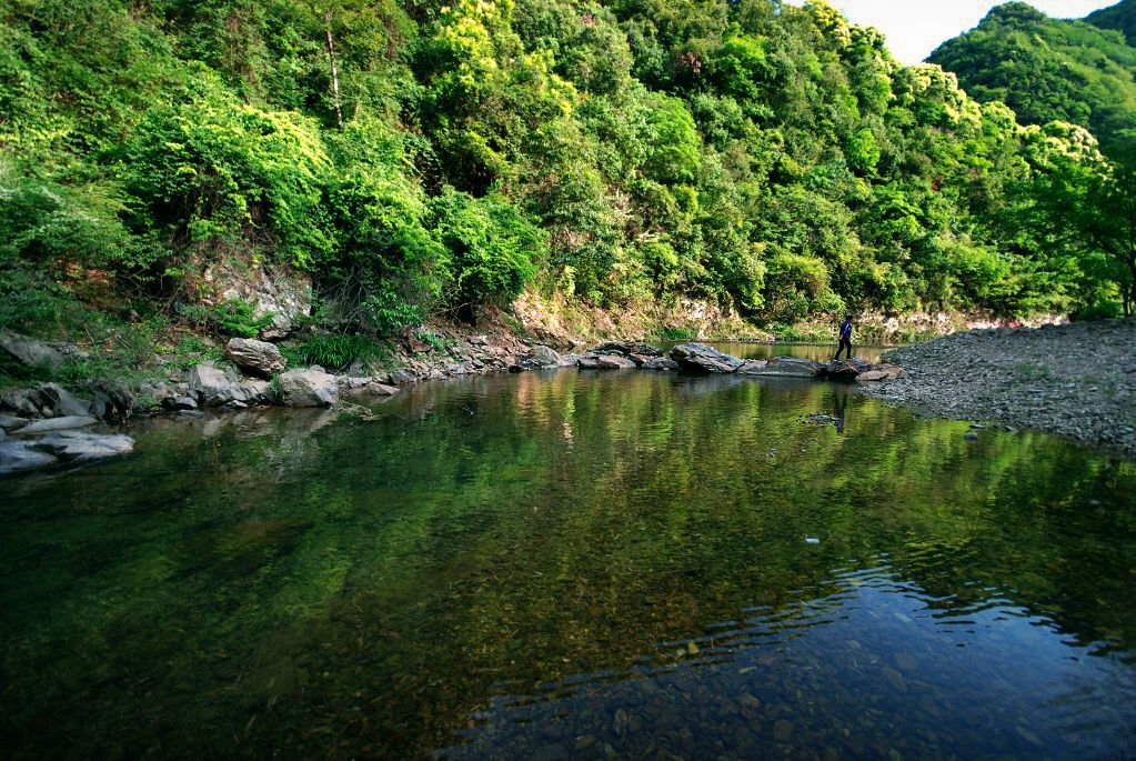 汀溪原始森林景区 汀溪原始森林景区