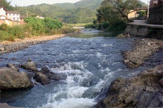梅林村 梅林村