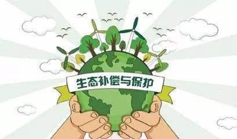 长江流域重点水域禁捕和建立补偿制度实施方案 长江流域重点水域禁捕和建立补偿制度实施方案