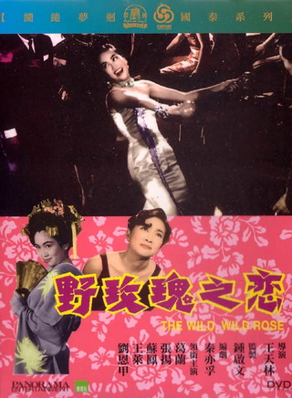 葛兰(香港演艺界人士)