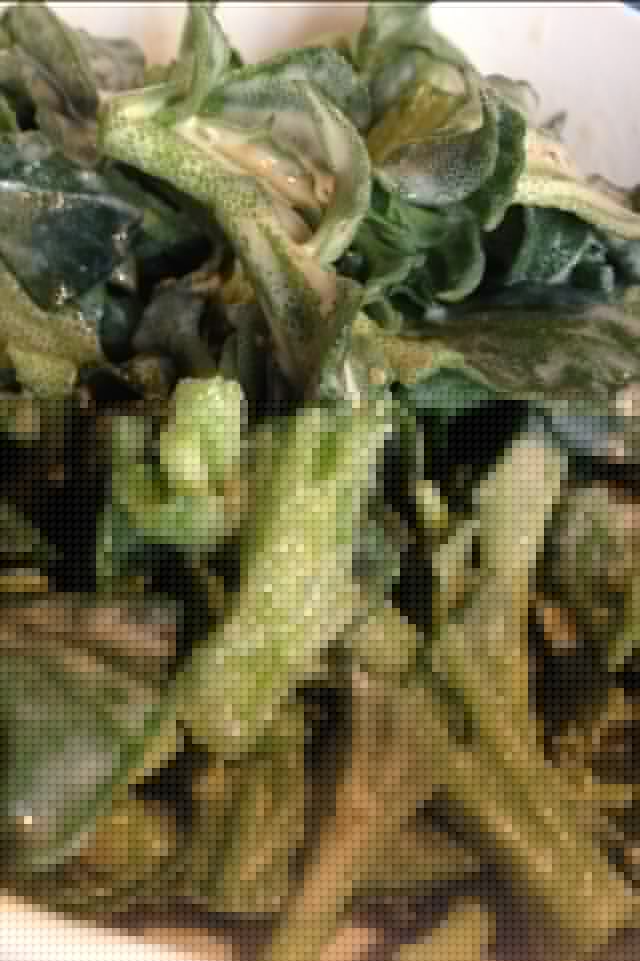 凉拌南非冰草 凉拌南非冰草