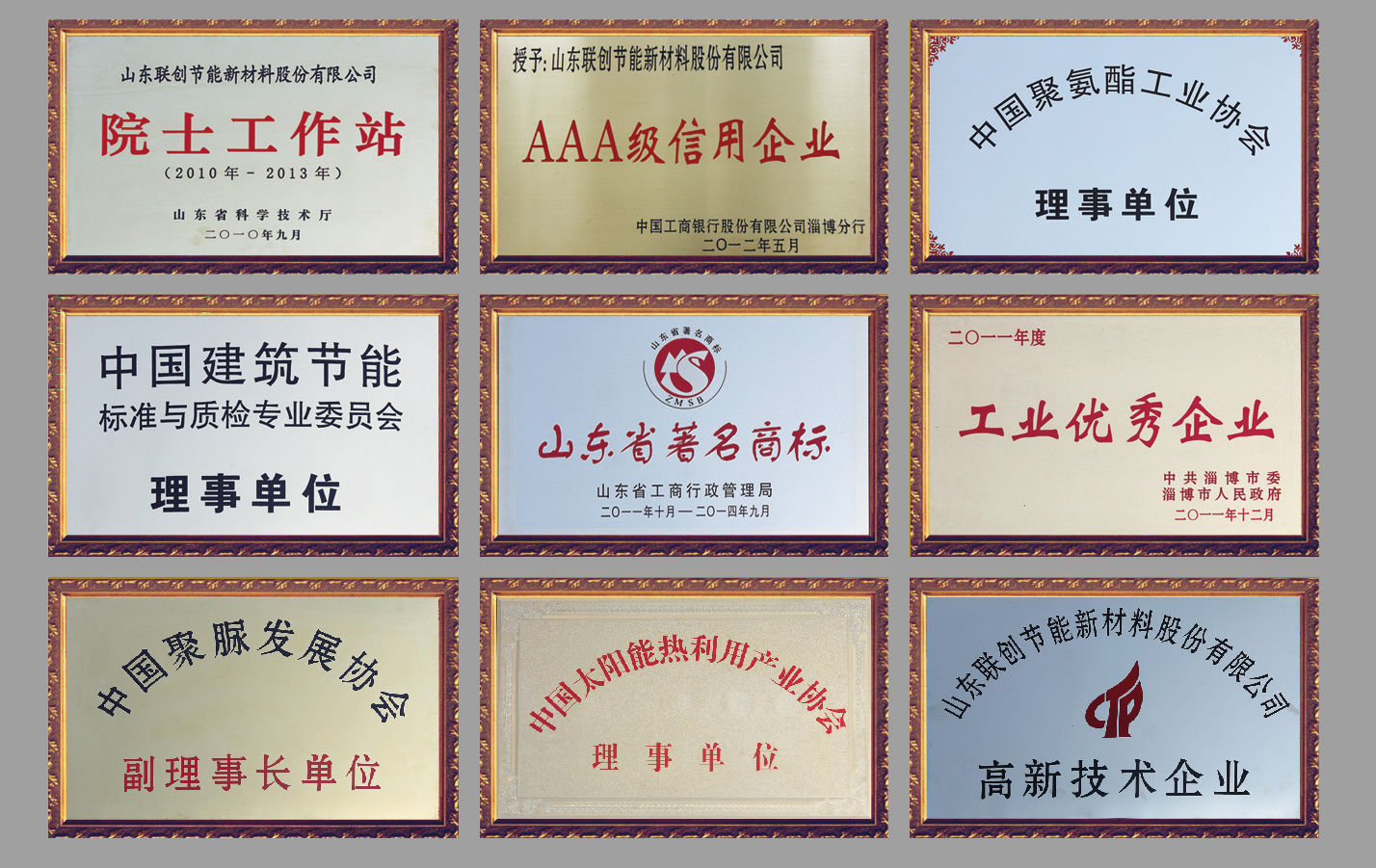山东联创节能新材料股份有限公司 山东联创节能新材料股份有限公司