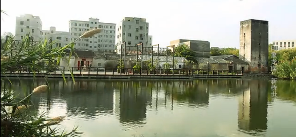 新桥世居 新桥世居
