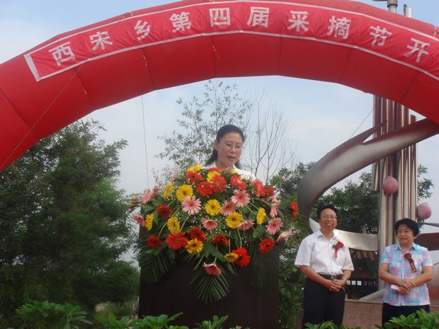 西宋乡採摘节 西宋乡採摘节
