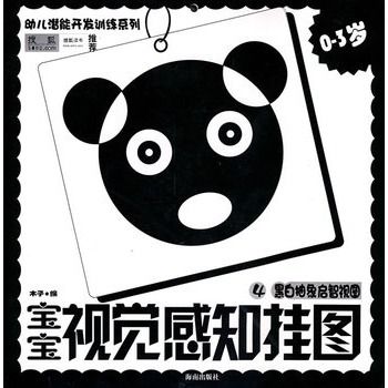 宝宝视觉感知挂图4:黑白抽象启智视图 宝宝视觉感知挂图4:黑白抽象启智视图