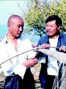 张大静