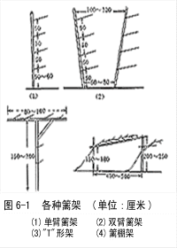 篱架 篱架