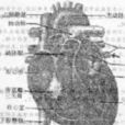 血液系统疾病 血液系统疾病