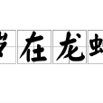 岁在龙蛇 岁在龙蛇