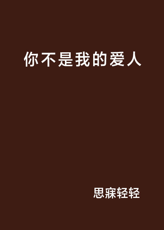 你不是我的爱人