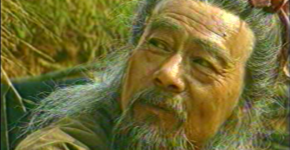 喋血铁山镇 喋血铁山镇