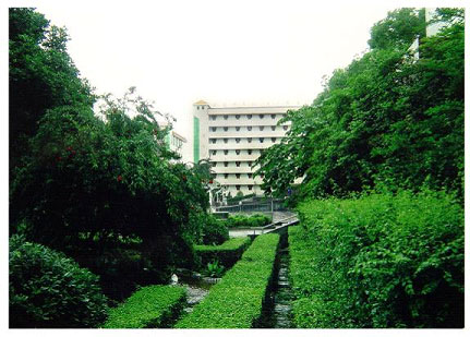 校园绿化 校园绿化