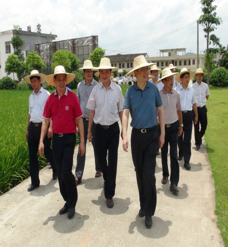 牛路村(广东罗定市罗平镇下辖村) 牛路村(广东罗定市罗平镇下辖村)