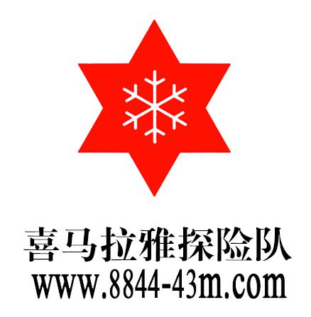 队标 队标