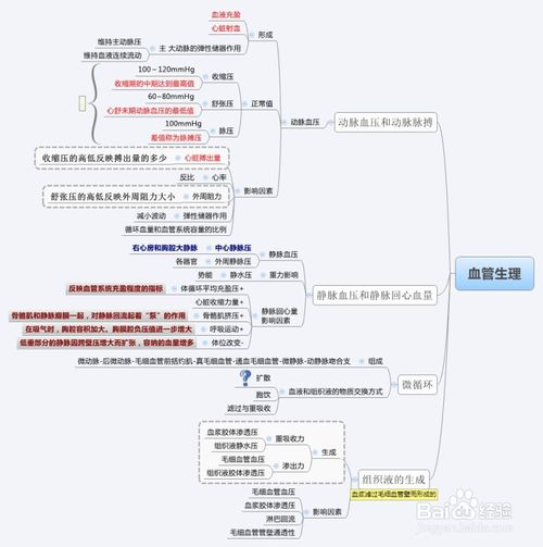 系统生理学 系统生理学