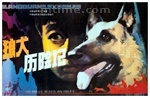 狼犬历险记 狼犬历险记