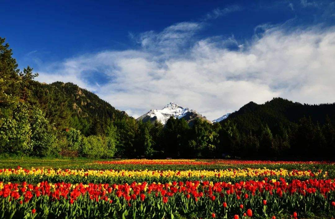 塔城地区(塔尔巴哈台) 塔城地区(塔尔巴哈台)
