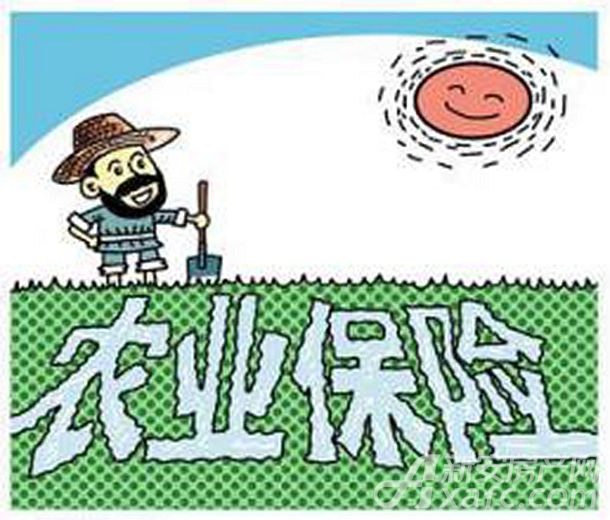 政策性农业保险 政策性农业保险