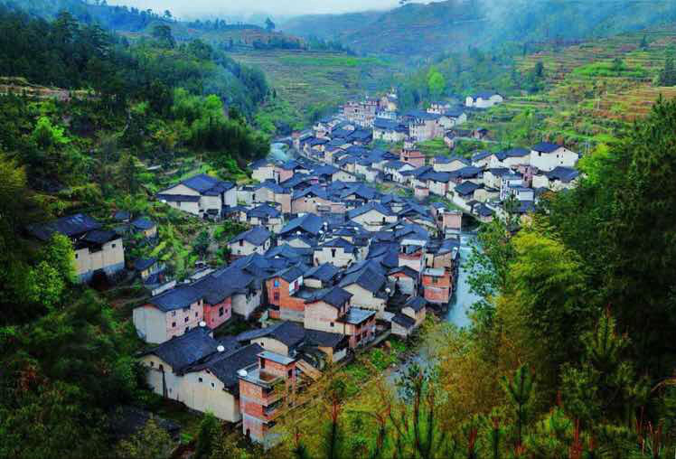 坪坑村 坪坑村