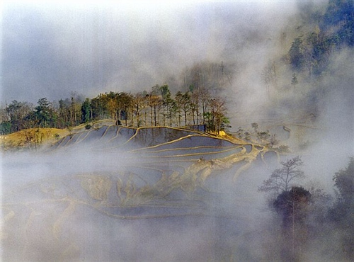 红河哈尼梯田风景 红河哈尼梯田风景