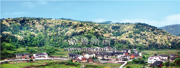 蓝坊镇 蓝坊镇