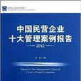 中国民营企业十大管理案例报告 中国民营企业十大管理案例报告