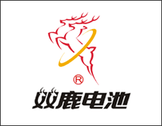 中银(宁波)电池有限公司 中银(宁波)电池有限公司
