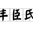 丰臣氏 丰臣氏