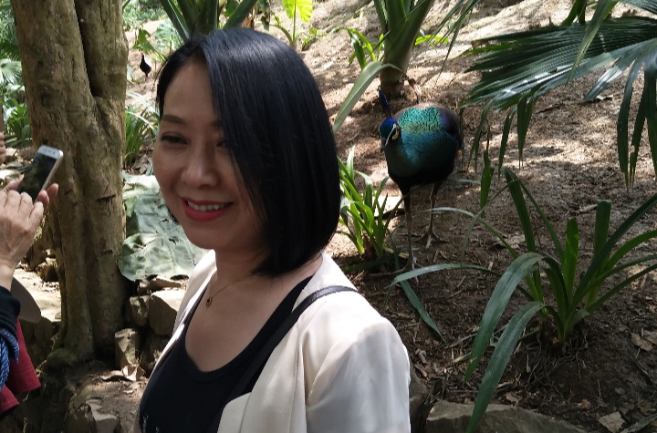 筱素清 筱素清